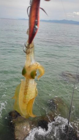 連休に連チャン調査