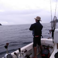 遊漁船SOUTH 9/2釣果