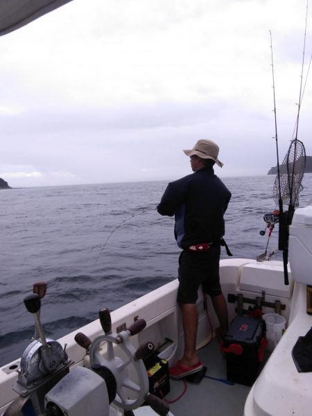 遊漁船SOUTH 9/2釣果