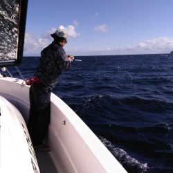 遊漁船SOUTH9/27釣果