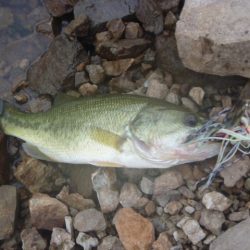 少し涼しくなったが