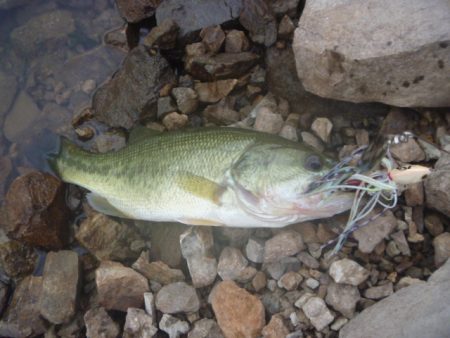 少し涼しくなったが