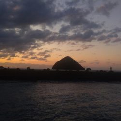 豆アジばっかり〜