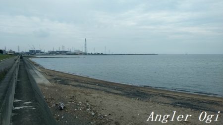 チョイ投げでピンギスの嵐