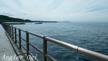 カワハギ/デカアジ/タチウオゲット！