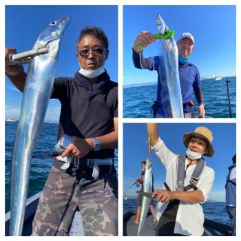 シーマジカル 釣果