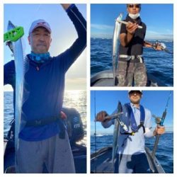 シーマジカル 釣果