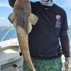 遊漁船 ニライカナイ 釣果