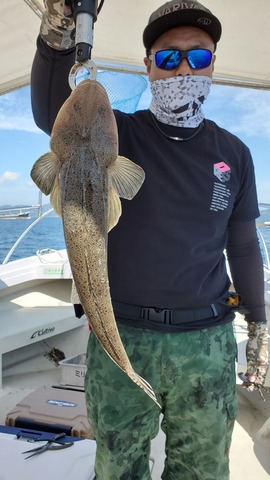 遊漁船 ニライカナイ 釣果