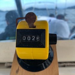 Magic（マジック） 釣果