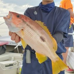 遊漁船 ニライカナイ 釣果
