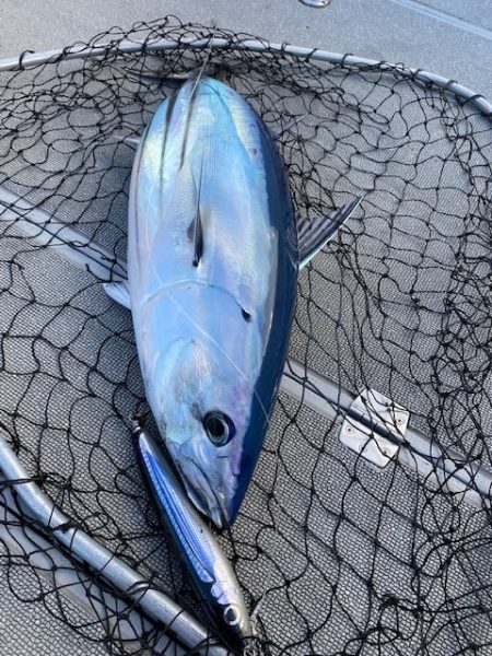 へいみつ丸 釣果