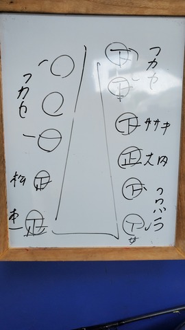 遊漁船 ニライカナイ 釣果