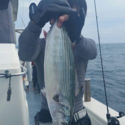 第五慶門丸 釣果