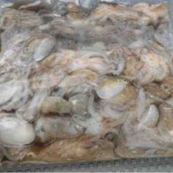 遊漁船 セトマリン 釣果