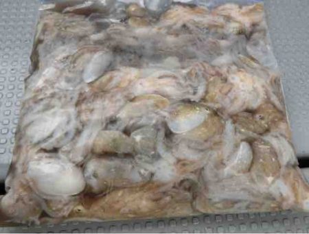 遊漁船 セトマリン 釣果