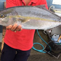 伊豆下田フィッシング 釣果