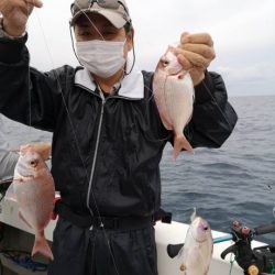 泰丸 釣果