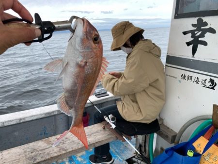 幸吉丸 釣果