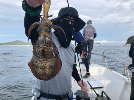 Magic（マジック） 釣果