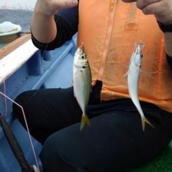 あい川丸 釣果