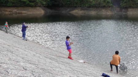 フィッシングレイクたかみや 釣果