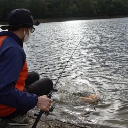 フィッシングレイクたかみや 釣果