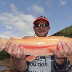フィッシングレイクたかみや 釣果