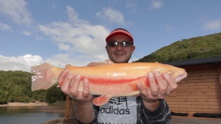 フィッシングレイクたかみや 釣果