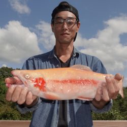 フィッシングレイクたかみや 釣果