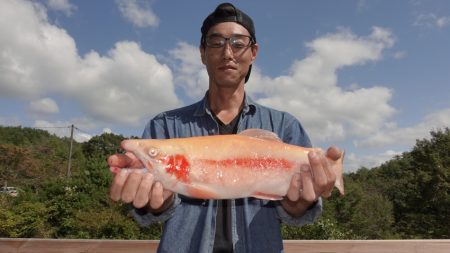 フィッシングレイクたかみや 釣果