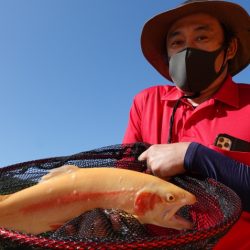 フィッシングレイクたかみや 釣果