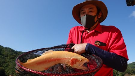 フィッシングレイクたかみや 釣果