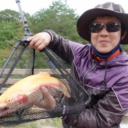 フィッシングレイクたかみや 釣果