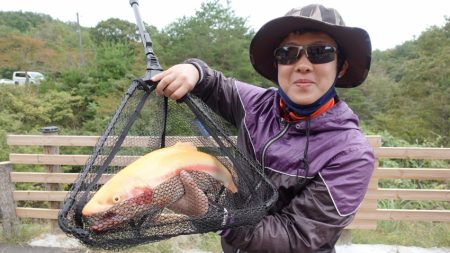 フィッシングレイクたかみや 釣果