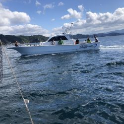 フィッシングボートACE(エース) 釣果