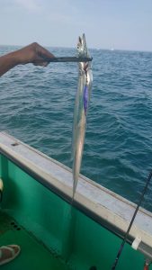 恵比寿丸(兵庫) 釣果