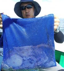 恵比寿丸(兵庫) 釣果