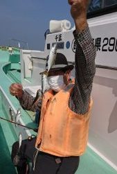 KONAYAーMARU(こなや丸) 釣果