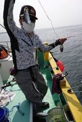 KONAYAーMARU(こなや丸) 釣果