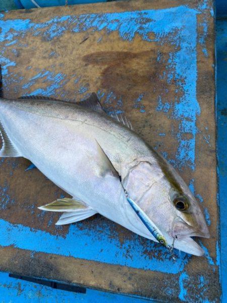 太幸丸 釣果