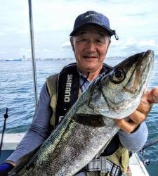 恵比寿丸(兵庫) 釣果