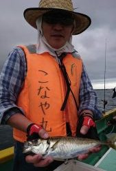 KONAYAーMARU(こなや丸) 釣果