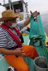 KONAYAーMARU(こなや丸) 釣果