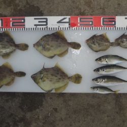 のとじま臨海公園海づりセンター 釣果