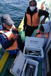 KONAYAーMARU(こなや丸) 釣果