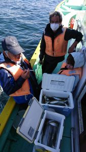 KONAYAーMARU(こなや丸) 釣果