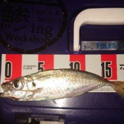 よっしゃーめっちゃ引く