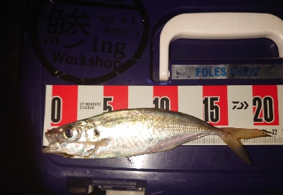 よっしゃーめっちゃ引く