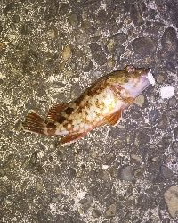 こんなはずでは…